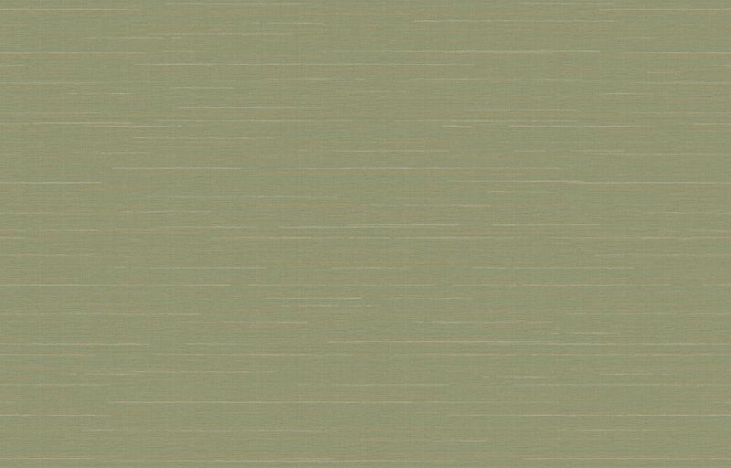Loymina Amazonia Ins9, 005/1