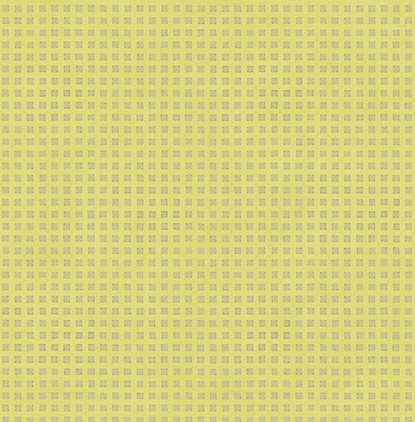 Jaima Brown Charleston Home JB52004