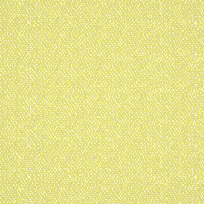 Scion Esala NESW112613