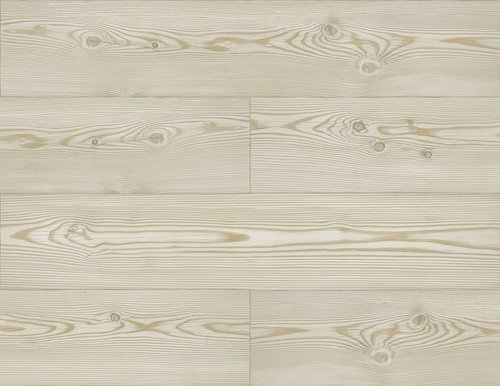Jaima Brown Woodlands Resource JB21708