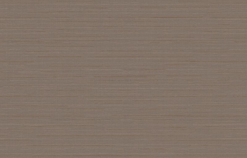 Loymina Amazonia Ins9, 004