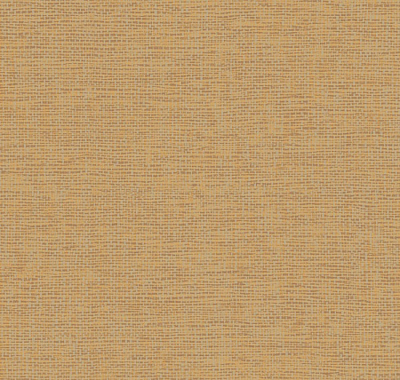 Jaima Brown Charleston Home JB2006