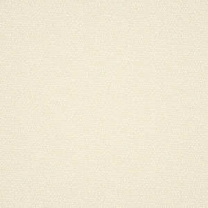 Scion Esala NESW112616