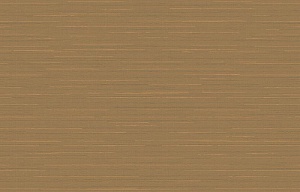 Loymina Amazonia Ins9, 004/1