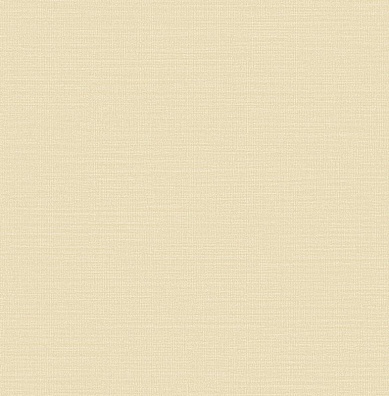 Trendsetter Roy RY0402