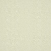 Scion Esala NESW112615