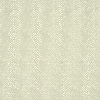 Scion Esala NESW112615