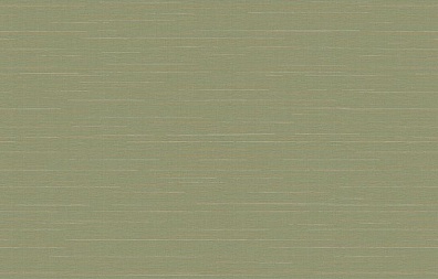 Loymina Amazonia Ins9, 005/1