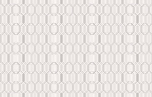 Loymina Clair CLR6, 002