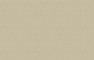 Loymina Classic vol.II V3, 008
