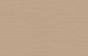 Loymina Amazonia Ins9, 002/1