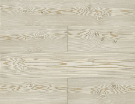 Jaima Brown Woodlands Resource JB21708