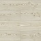 Jaima Brown Woodlands Resource JB21708