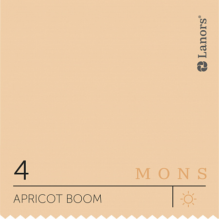 Глубокоматовая краска Mons Interior 4,5 л