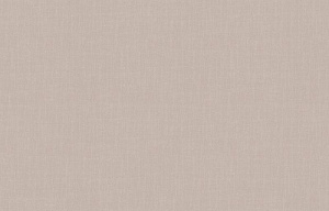 Loymina Shade SD2 001/1