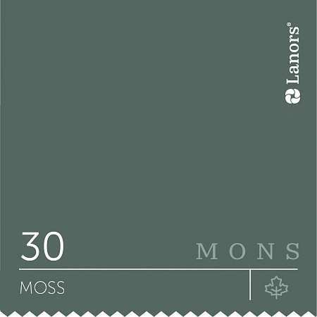 Бархатистая краска Mons Eggshell 4,5 л