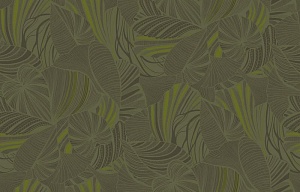 Loymina Amazonia Ins5, 005/1