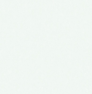 Trendsetter Roy RY1001