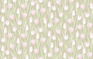 Milassa Swan SW 1, 005