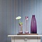 Loymina Clair CLR8, 021/1