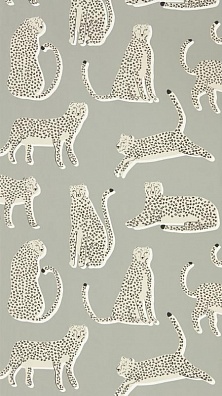 Scion Esala NESW112208