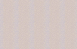 Loymina Clair CLR2, 006