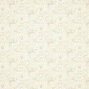 Scion Esala NESW112618
