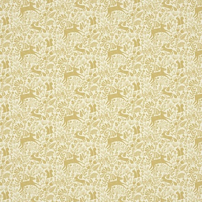 Scion Esala NESW112218