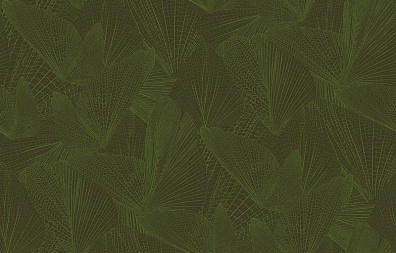 Loymina Amazonia Ins6, 005/1