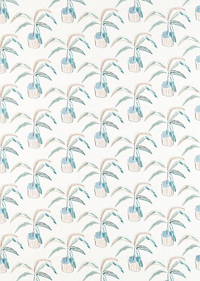 Scion Zanzibar NZAW111990