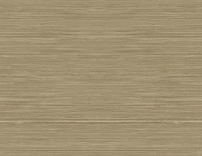 Jaima Brown Woodlands Resource JB22306