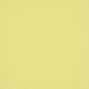 Scion Esala NESW112613
