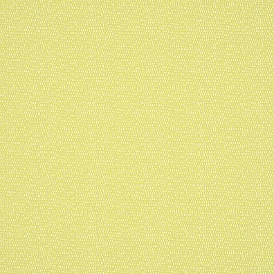 Scion Esala NESW112613