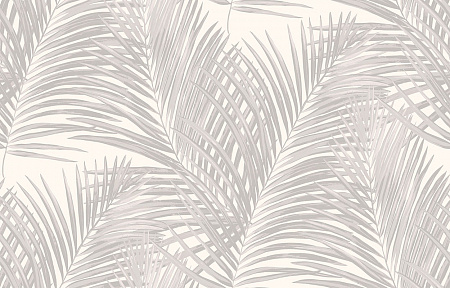 Loymina Amazonia Ins3, 001