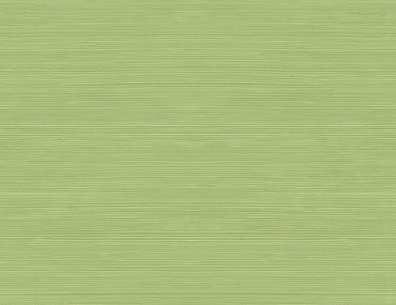 Jaima Brown Woodlands Resource JB22304