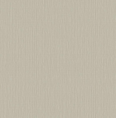 Trendsetter Roy RY0303