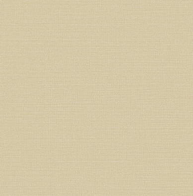 Trendsetter Roy RY0403