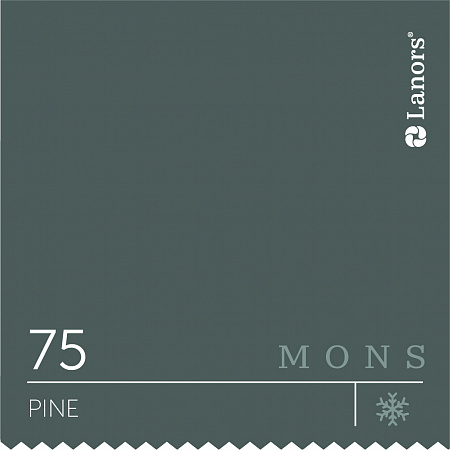 Бархатистая краска Mons Eggshell 4,5 л