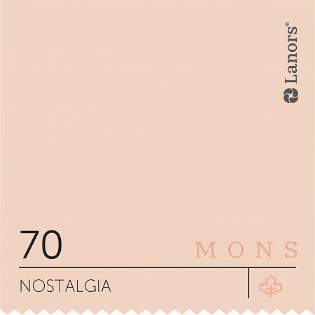 Бархатистая краска Mons Eggshell 4,5 л
