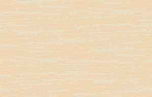 Loymina Amazonia Ins8, 003