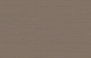 Loymina Amazonia Ins9, 004
