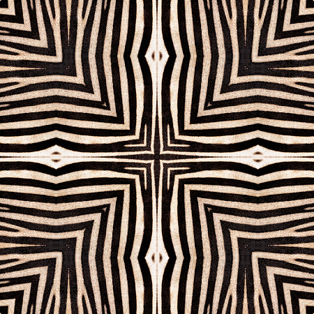 Mindthegap The Wallpaper Compendium 2020 WP20505